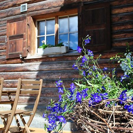 Hof Surri Apartment Schiers Екстериор снимка